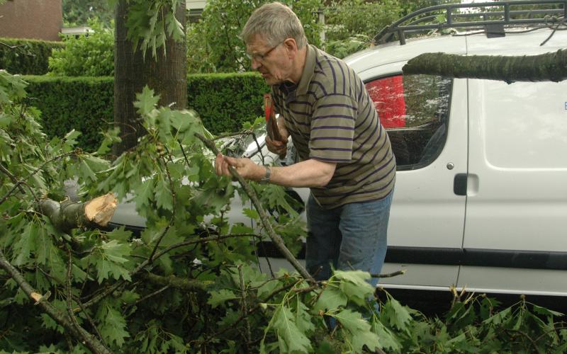 Overlast Of Schade Door Een Boom